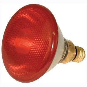 Brooder Lamp Infrared Kerbl 100w Clear or Red