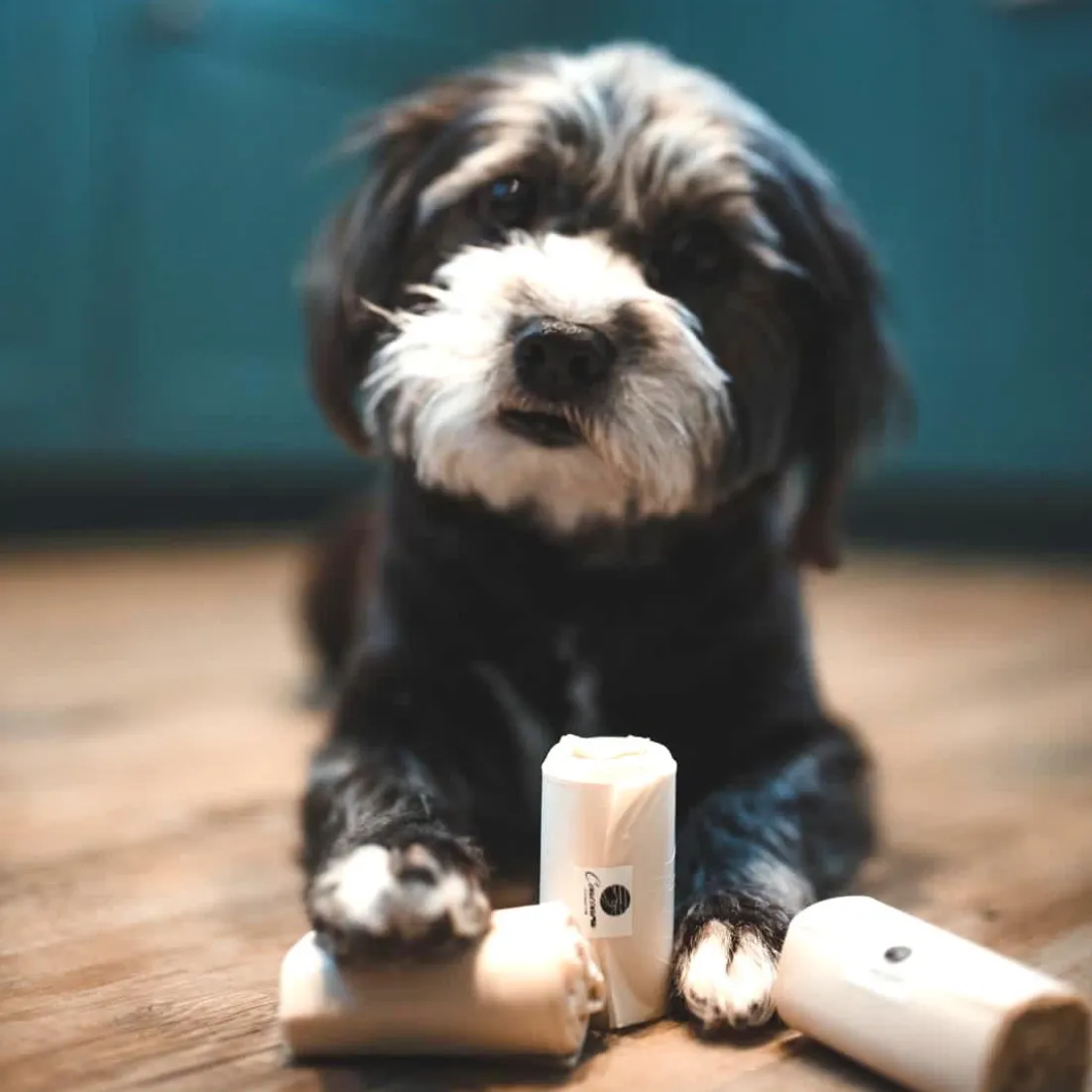 Compostable Dog Waste Bags