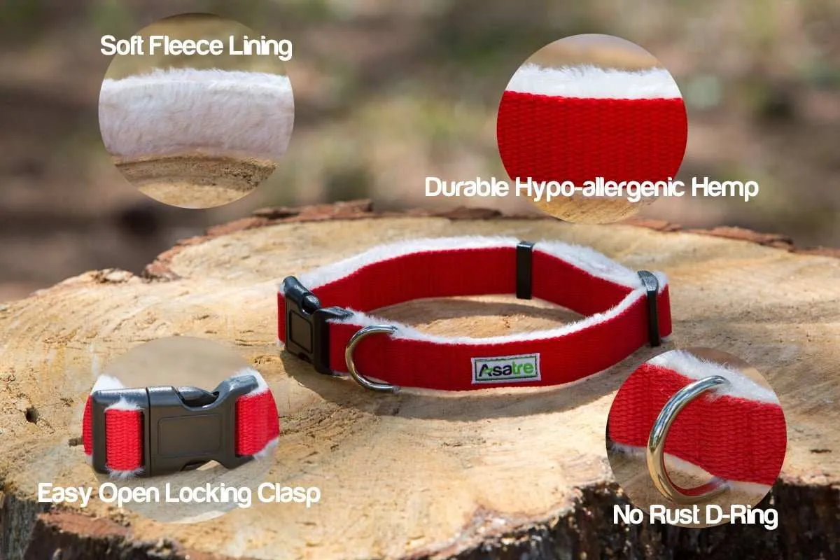 Dog Collar Leash Set: Adjustable Hemp Collar and Leash (Red)