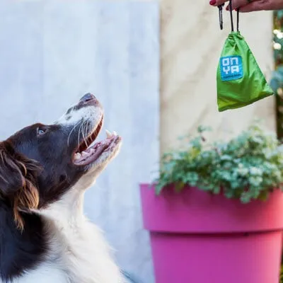 Dog waste Disposal Bags with carry pouch