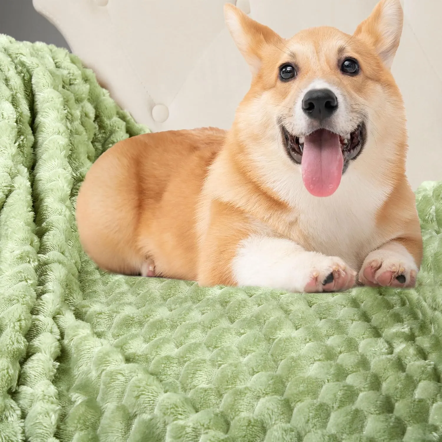 DREAMNINE Decorative Soft Plush Fleece Throw Blanket for Couch Sofa 50" x 60", Luxury Shaggy Lightweight 3D Pattern Velvet Flannel Blanket for Bedroom, Solid Cute Warm Lap Blanket for Winter Pet,Green