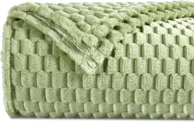 DREAMNINE Decorative Soft Plush Fleece Throw Blanket for Couch Sofa 50" x 60", Luxury Shaggy Lightweight 3D Pattern Velvet Flannel Blanket for Bedroom, Solid Cute Warm Lap Blanket for Winter Pet,Green