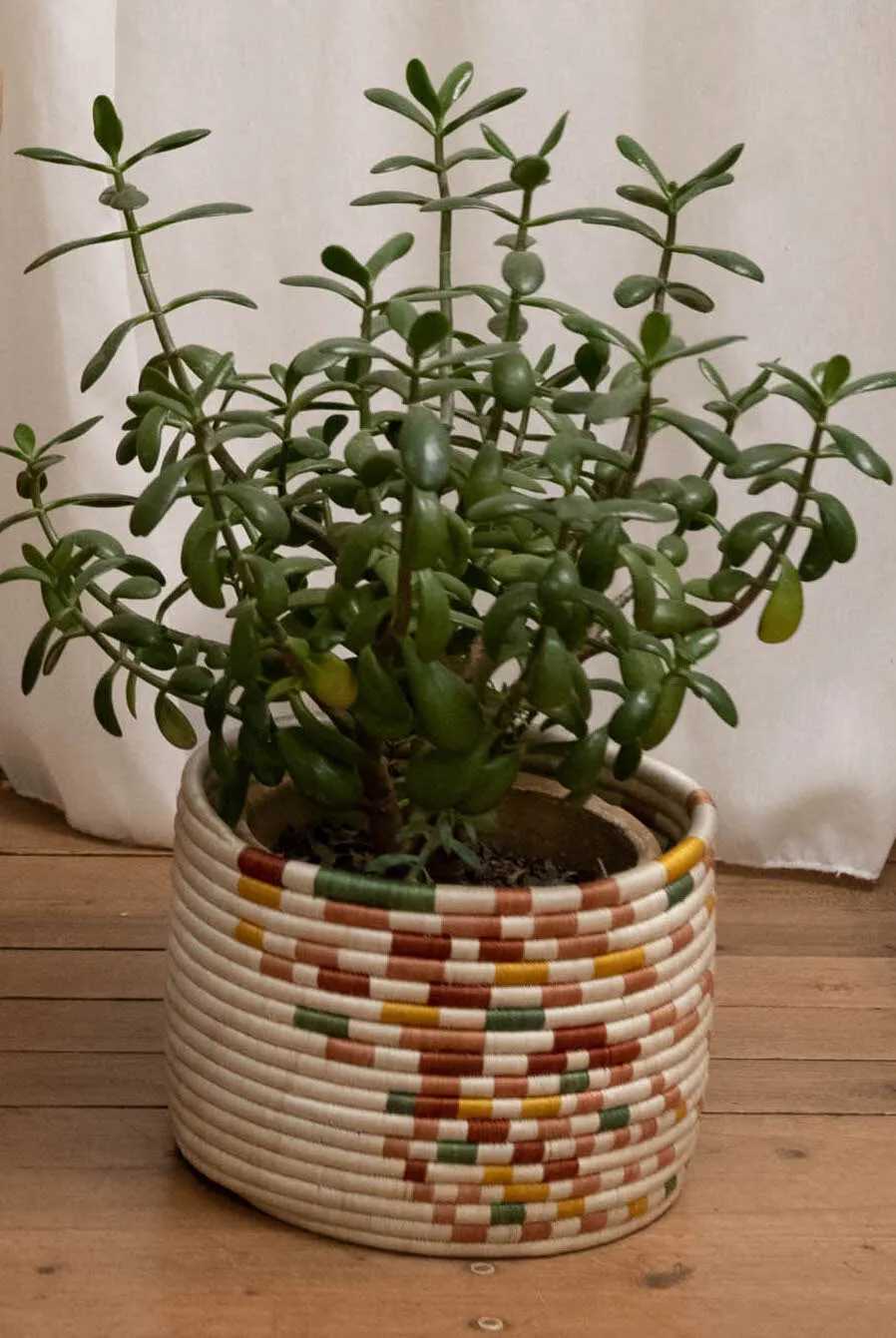 Guacamaya Tabletop Baskets (3 sizes)