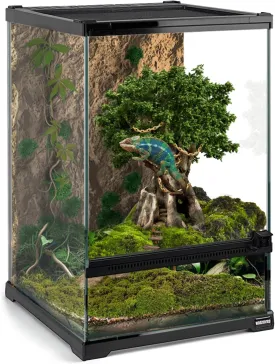 Mini Reptile Glass Terrarium Tank 8"x8"x12 Full View with Front Opening Door and Enclosure Habitat Cage for Leopard Gecko Tarantula Young Lizard Hermit Crab Frog Insects Breeding Tank