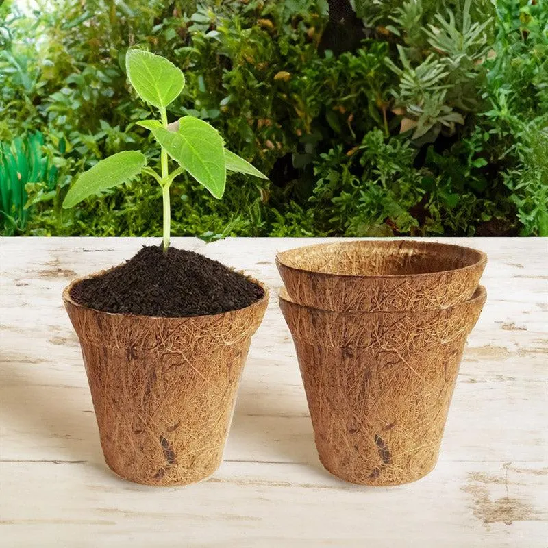 Miriya Coir Pot - Set Of Three