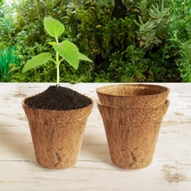 Miriya Coir Pot - Set Of Three