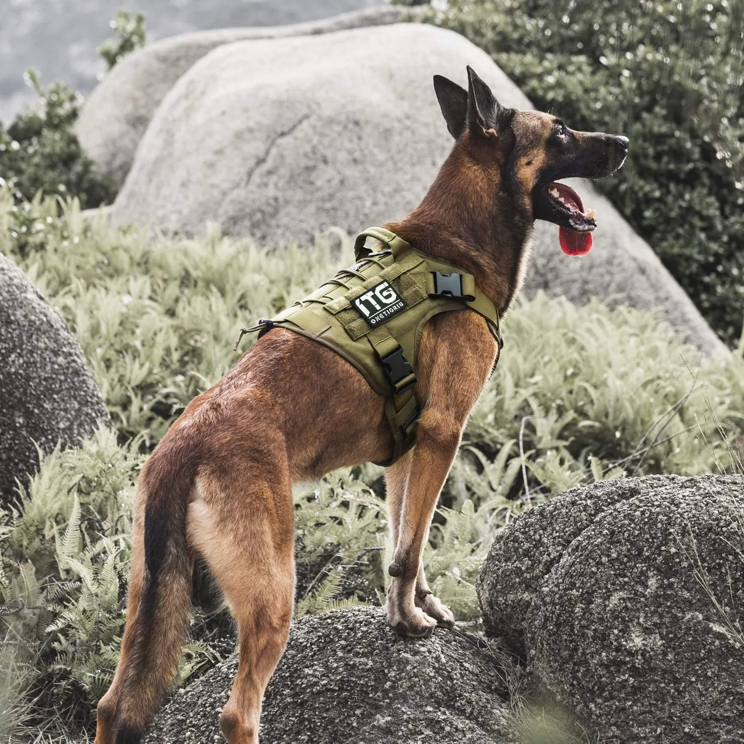 OneTigris Tactical Dog Harness,No-Pull Dog Vest with Leash Clips,Dog Harness Adjustable for Hiking Training Outdoor Dogs(Ranger Green, Medium)