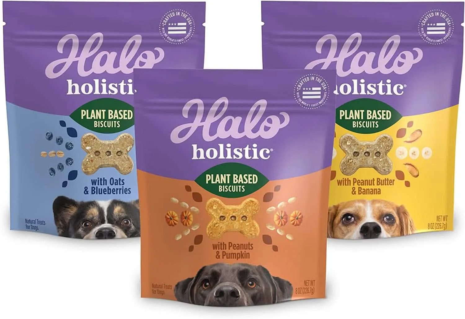 Plant-Based Dog Treats | 3-Pack Variety (8oz Each) | Vegan Snacks with Oats, Blueberries & Peanut Butter