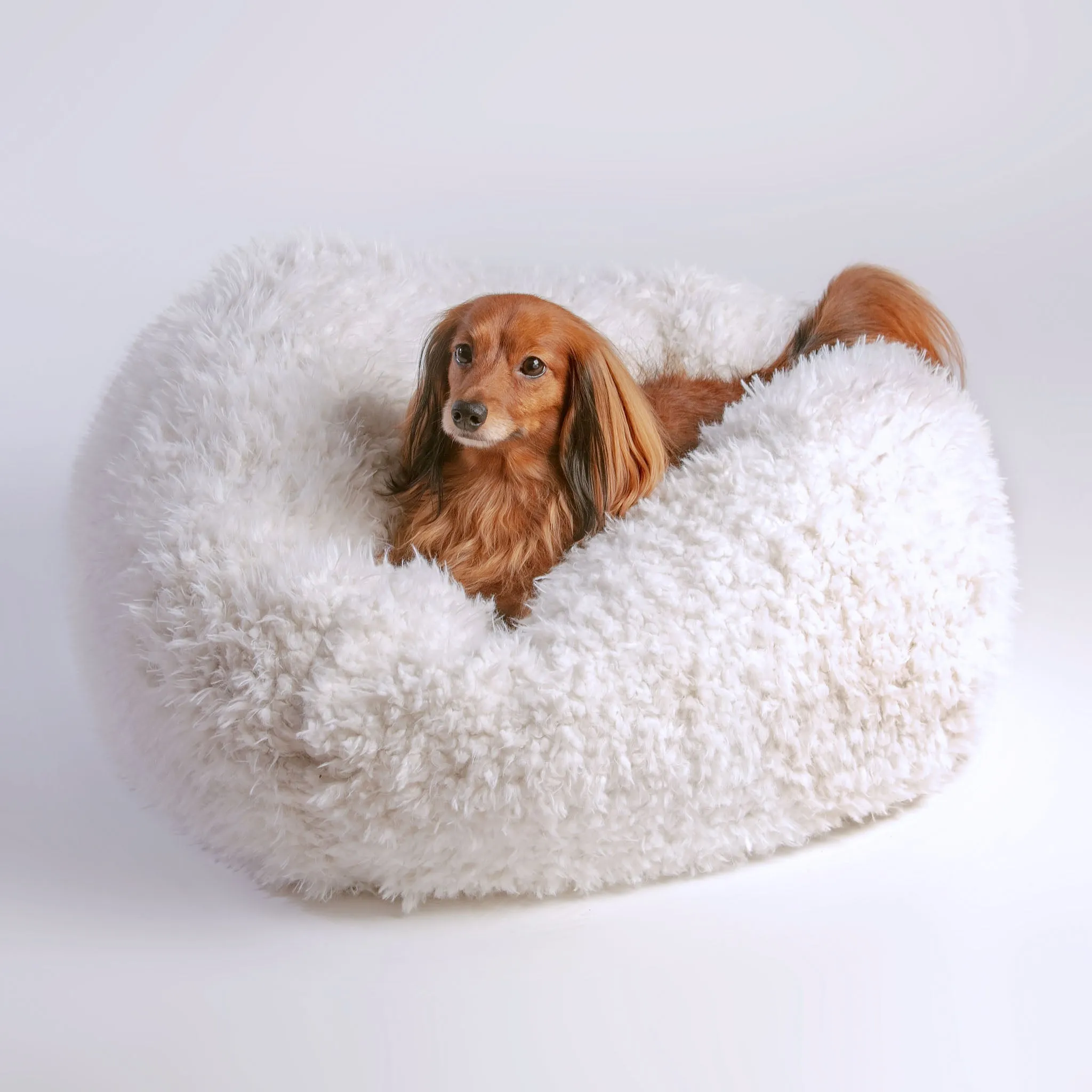 Pod Bed in Ivory (Custom/Direct-Ship) (Made in the USA)