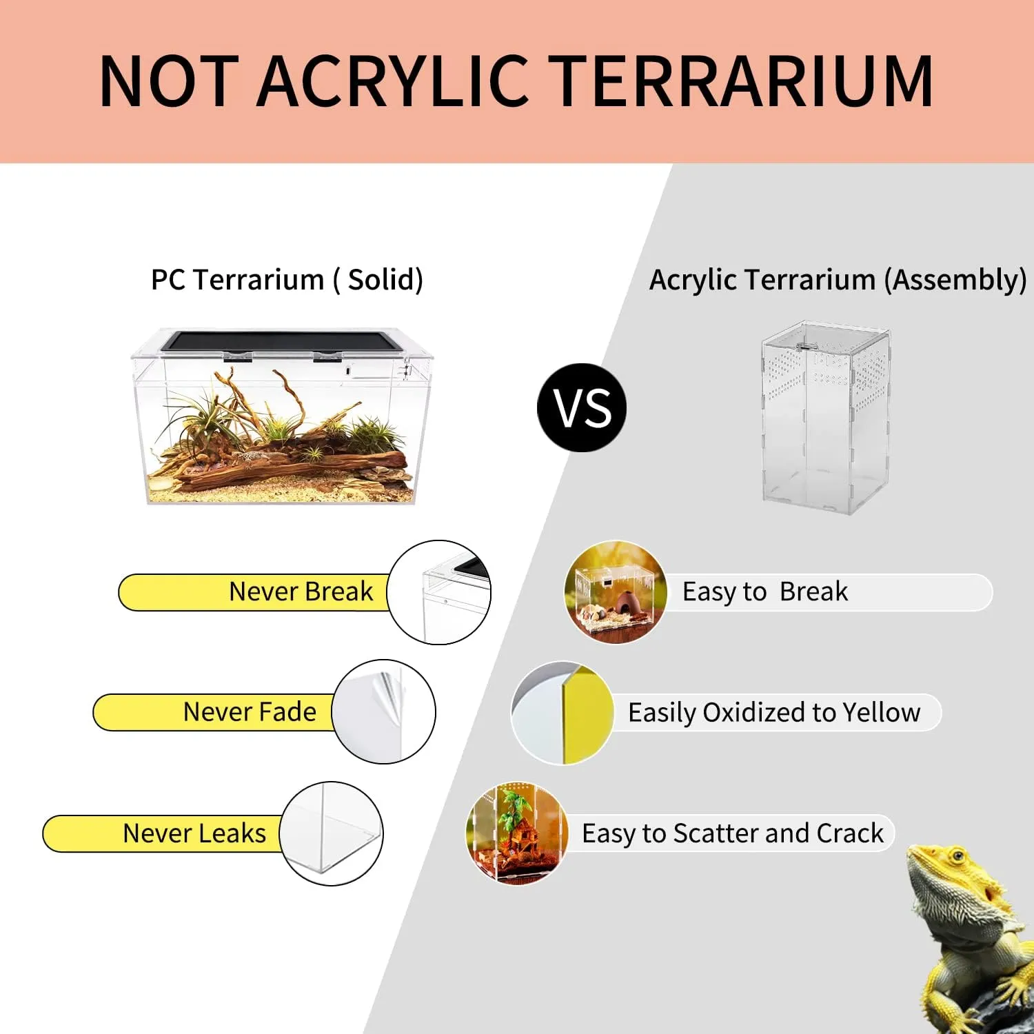 Reptile Terrarium,10 Gallon Reptile Tank 20" x 10"x 11",for InsectFishTarantulaHermit CrabJumping SpiderIguanaTortoiseLeopard GeckoFrogBearded Dragon