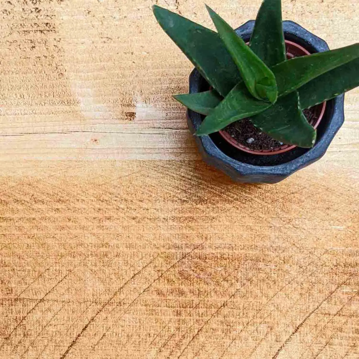 Rustic Floating Shelf | 15cm Depth