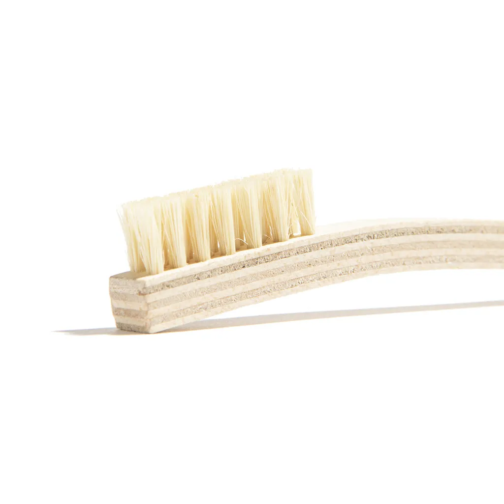 Tampico Cleaning Brush