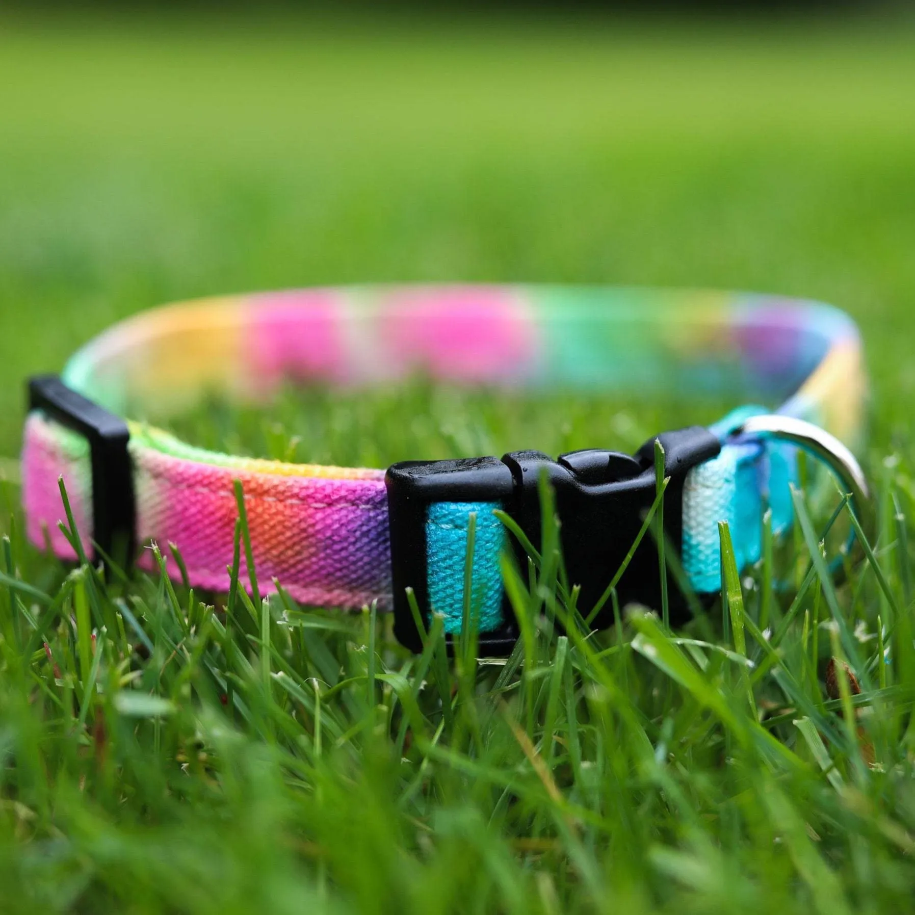 Tie Dye Dog/Cat Collar & Leash