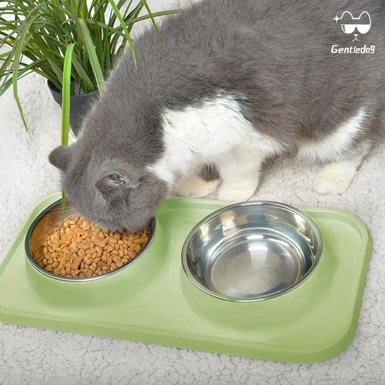 Waterproof Cat Food Bowls, Removable Stainless Steel Pet Double Bowls Set, Non-Skid and Non-Spill Raised Edge, Food and Water Feeder for Cat and Puppy(Green)