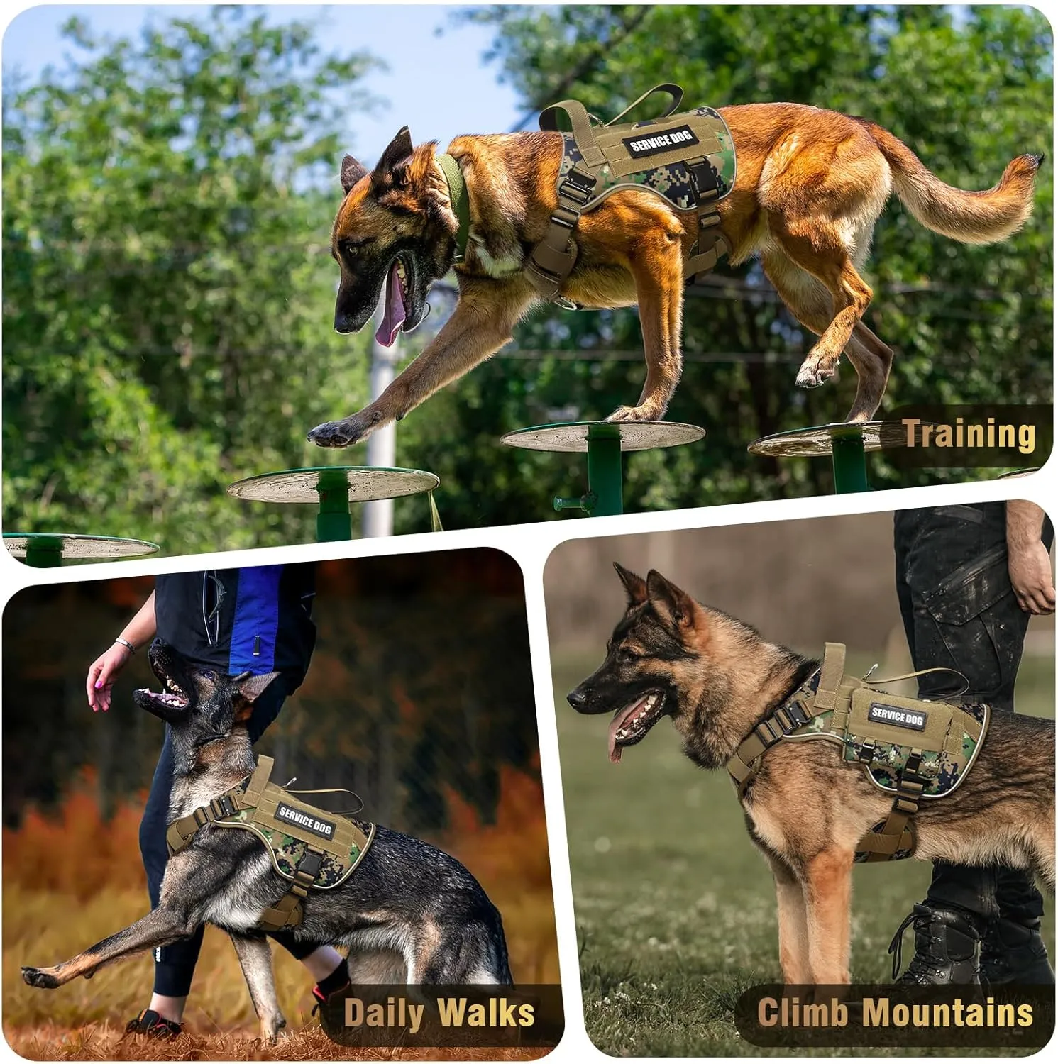 WINSEE Tactical Dog Harness for Medium Dog, Heavy Duty Service Working MOLLE Vest with 10 Pet Patches, 2X Metal Buckle Vest for Training Hunting Walking