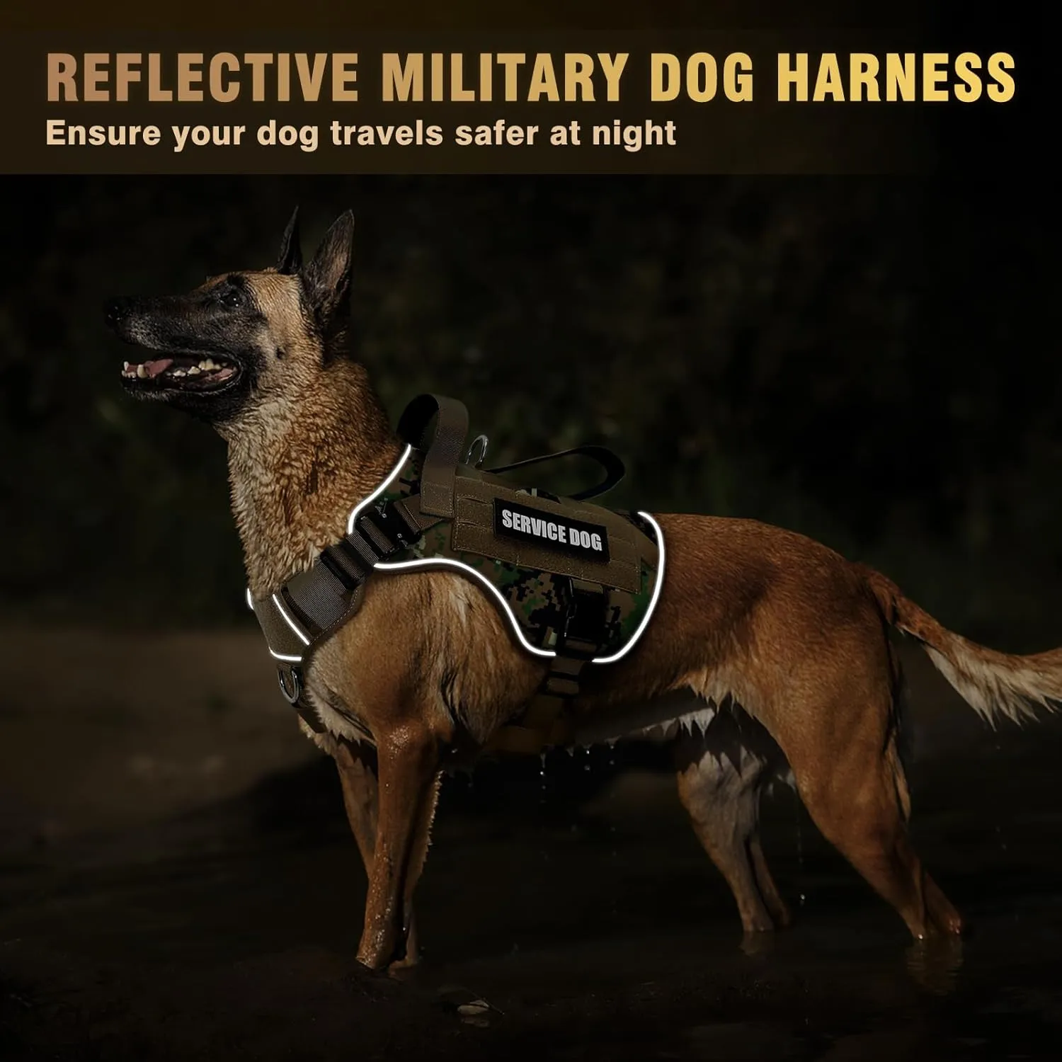 WINSEE Tactical Dog Harness for Medium Dog, Heavy Duty Service Working MOLLE Vest with 10 Pet Patches, 2X Metal Buckle Vest for Training Hunting Walking