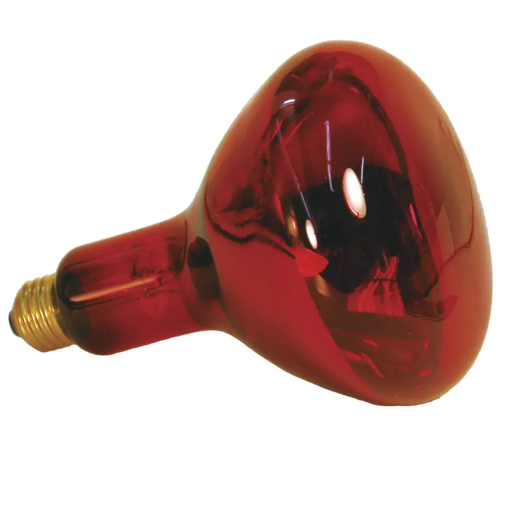 Zoo Med Nocturnal Infrared Heat Lamp for Reptiles