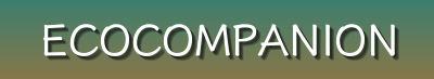 Eco-Friendly Pet Products & Tiny Companion Essentials | Sustainable Beds, Bowls, Cages & More